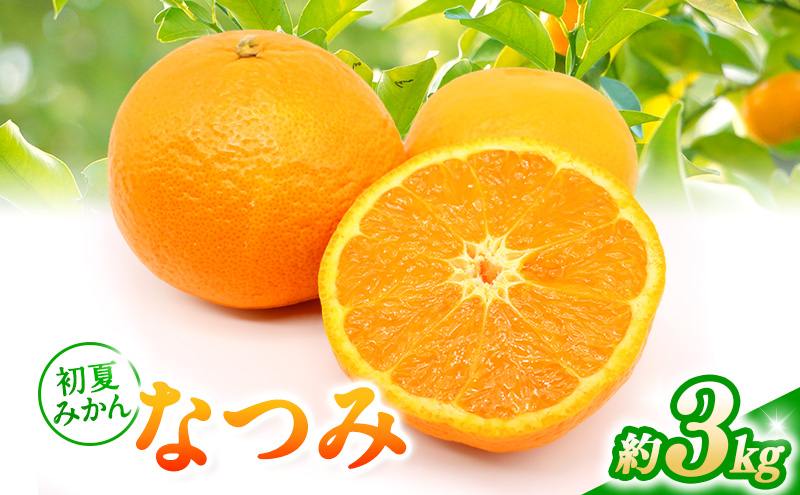 【2026年5月頃より順次発送】初夏みかん「なつみ」約3kg 施設栽培 柑橘 みかん ミカン くだもの 果実 フルーツ 濃厚 甘み 酸味 爽やか ハウス栽培 静岡 浜松市【配送不可：離島】