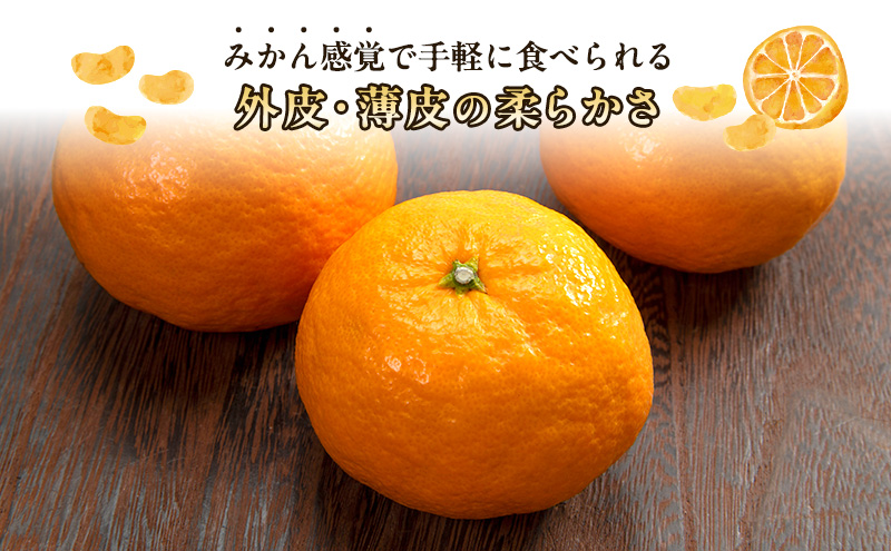 【2026年5月頃より順次発送】初夏みかん「なつみ」約3kg 施設栽培 柑橘 みかん ミカン くだもの 果実 フルーツ 濃厚 甘み 酸味 爽やか ハウス栽培 静岡 浜松市【配送不可：離島】