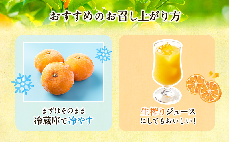 【2026年5月頃より順次発送】初夏みかん「なつみ」約3kg 施設栽培 柑橘 みかん ミカン くだもの 果実 フルーツ 濃厚 甘み 酸味 爽やか ハウス栽培 静岡 浜松市【配送不可：離島】