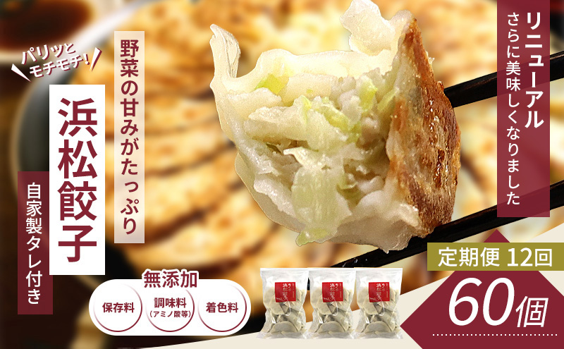 【定期便12回】浜松餃子 60個 (20個×3袋) セット 詰め合わせ 餃子のタレ 小袋 知久屋 国産 ぎょうざ 餃子 ギョーザ 冷凍餃子 静岡 浜松市 【配送不可：離島】