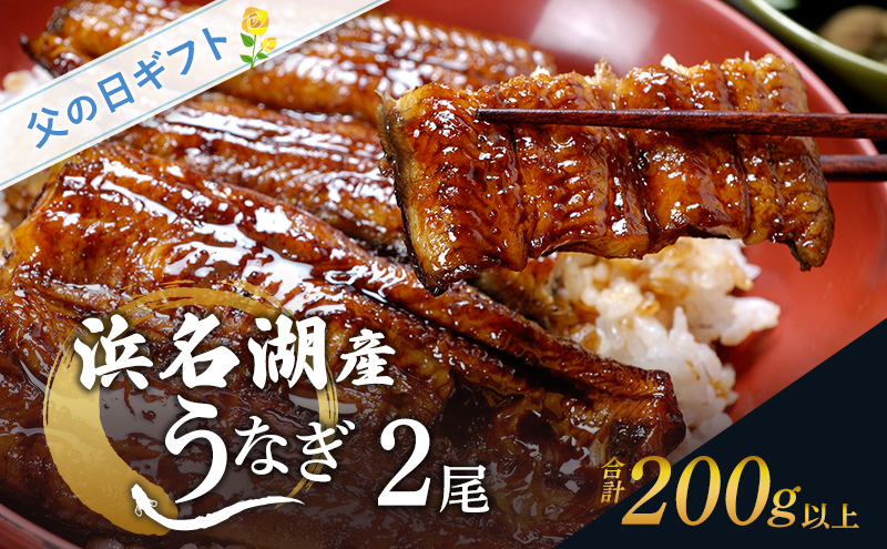 父の日ギフト 浜名湖産うなぎ 蒲焼 2尾 (100g以上×2本)山椒たれ付き 国産 うなぎセット 国産うなぎ 浜名湖うなぎ 海老仙 静岡 浜松市