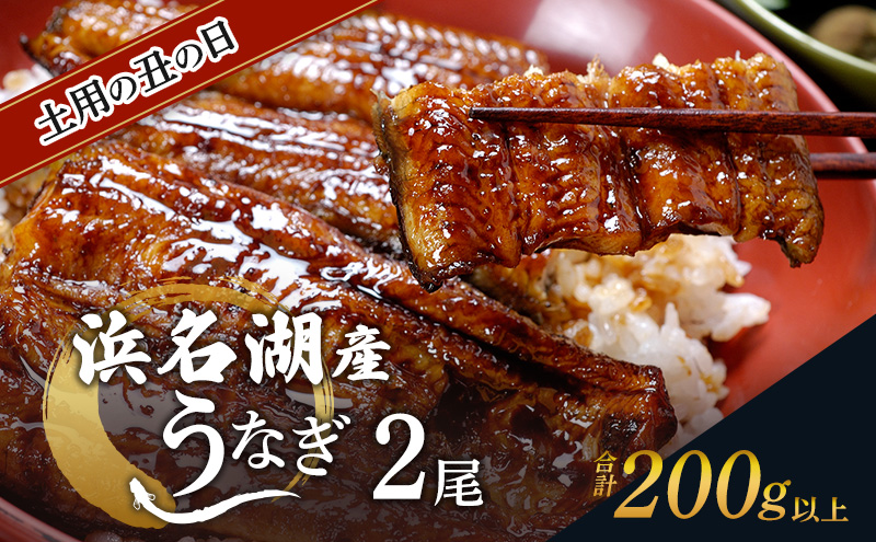 土用の丑の日ギフト 浜名湖産うなぎ 蒲焼 2尾 (100g以上×2本)山椒たれ付き 国産 うなぎセット 国産うなぎ 浜名湖うなぎ 海老仙 静岡 浜松市
