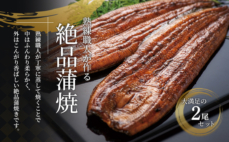 土用の丑の日ギフト 浜名湖産うなぎ 蒲焼 2尾 (100g以上×2本)山椒たれ付き 国産 うなぎセット 国産うなぎ 浜名湖うなぎ 海老仙 静岡 浜松市