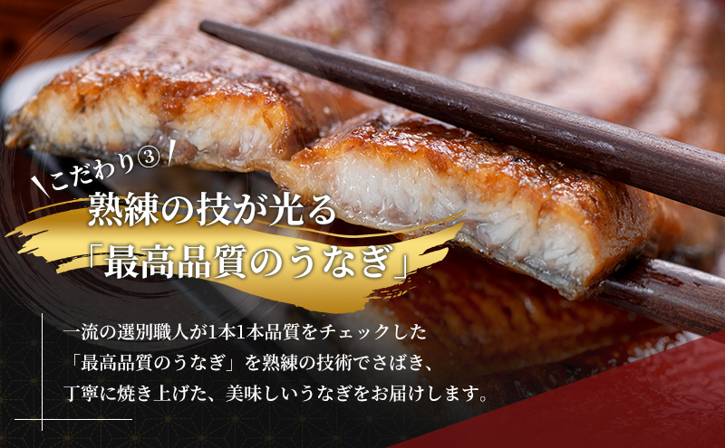 土用の丑の日ギフト 浜名湖産うなぎ 蒲焼 2尾 (100g以上×2本)山椒たれ付き 国産 うなぎセット 国産うなぎ 浜名湖うなぎ 海老仙 静岡 浜松市