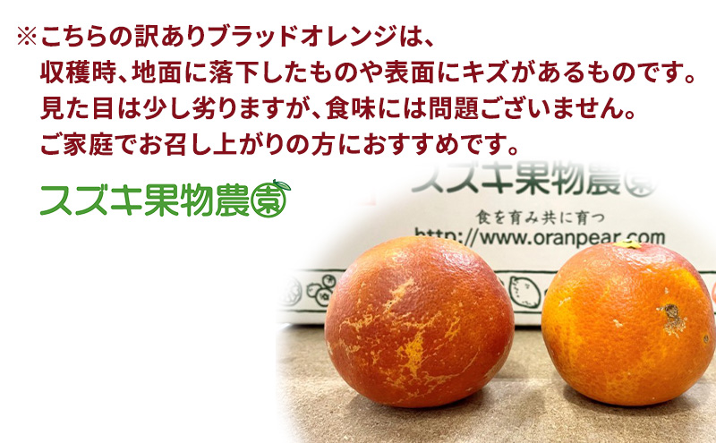 静岡県浜松市産 訳あり『ブラッドオレンジ（タロッコ種）』約5kg（サイズいろいろ）オレンジ 濃厚な甘み 爽やかな酸味 柑橘 静岡 浜松市 【配送不可：離島】