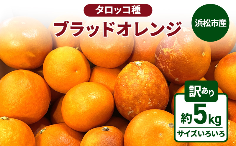 静岡県浜松市産 訳あり『ブラッドオレンジ（タロッコ種）』約5kg（サイズいろいろ）オレンジ 濃厚な甘み 爽やかな酸味 柑橘 静岡 浜松市 【配送不可：離島】