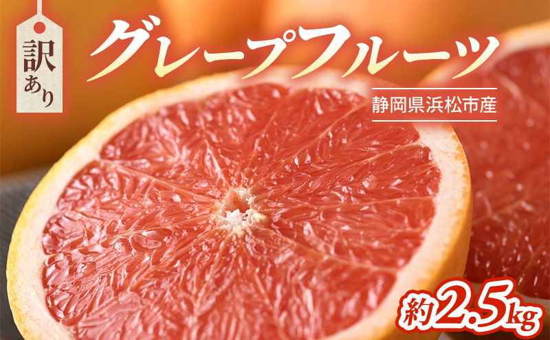 【2027年4月上旬より順次発送】【訳あり】静岡県浜松市産グレープフルーツ 約2.5kg（5～12個） 果物 くだもの フルーツ 果物類 柑橘類 旬のフルーツ 季節の果物 静岡 浜松市