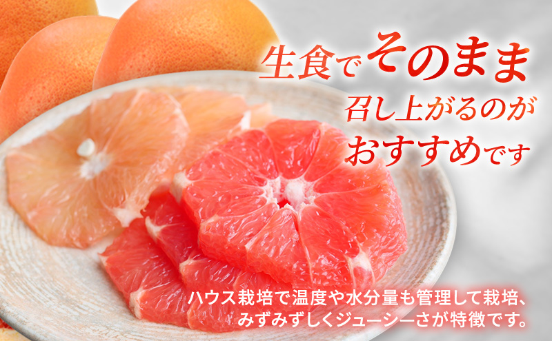 【2027年4月上旬より順次発送】【訳あり】静岡県浜松市産グレープフルーツ 約2.5kg（5～12個） 果物 くだもの フルーツ 果物類 柑橘類 旬のフルーツ 季節の果物 静岡 浜松市