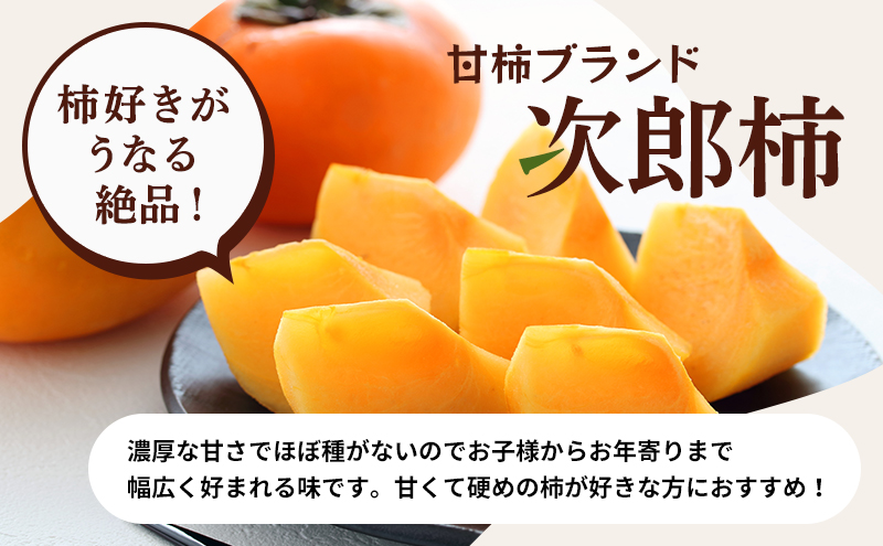 【2026年11月上旬～順次発送】訳あり テルの次郎柿 14～18玉 約3.5kg（2L～Ｍサイズ）柿 旬 家庭用 かき 果物 くだもの フルーツ 旬の果物 旬のフルーツ 秋の味覚 静岡 浜松市【配送不可：離島】