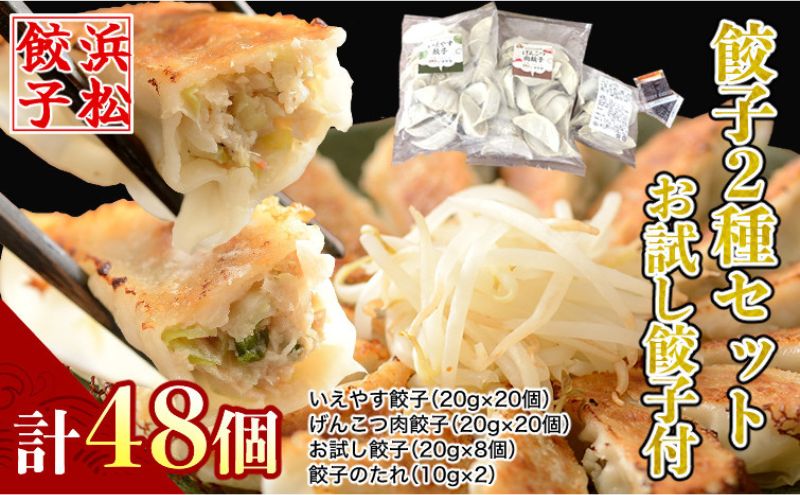 浜松餃子 和風だし 肉餃子 いえやす 2種 48個 食べ比べ 餃子 国産 冷凍 ぎょうざ