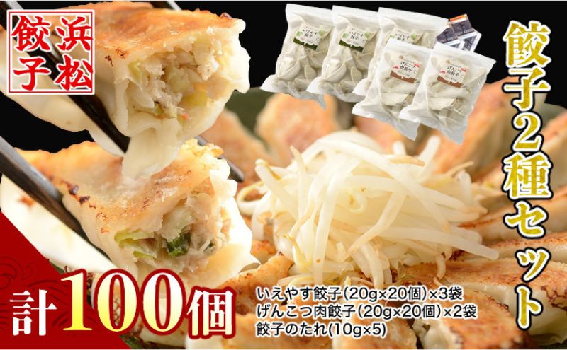 「浜松餃子」いえやす餃子 2種 100個セット【配送不可：離島】 惣菜 冷凍 冷凍餃子 食べ比べ あっさり 肉餃子 ジューシー おかず つまみ