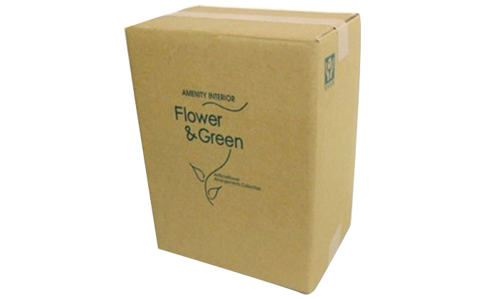 光の楽園　エレガント胡蝶蘭L【配送不可：北海道・沖縄・離島】 インテリア、人工植物、造花 