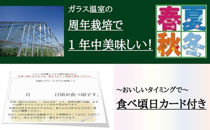 クラウンメロン特大玉　1玉【3ヶ月定期便】【配送不可：離島】