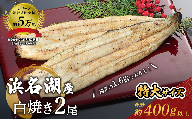 うなぎ 長白焼き 2尾 (200g×2本)セット 国産 白焼き 国産うなぎ 浜名湖うなぎ 高評価
