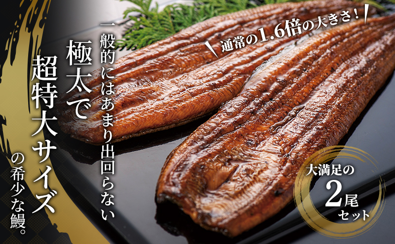 ããªã è²çŒã 2å°Ÿ (200g以äžÃ2æ¬)ã»ãã åœç£ ããªãã»ãã åœç£ããªã æµåæ¹ããªã