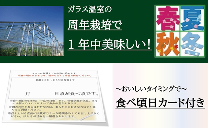 クラウンメロン　白　5玉入【配送不可：離島】