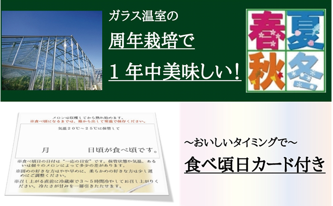 クラウンメロン（白）小玉×1玉【12ヶ月定期便】【配送不可：離島】