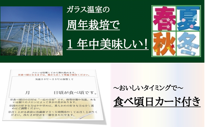 クラウンメロン（白）小玉×2玉【12ヶ月定期便】【配送不可：離島】