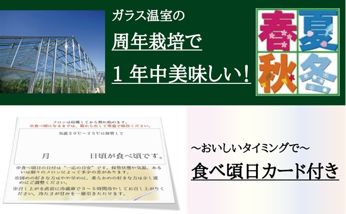 クラウンメロン　山×2玉【3ヶ月定期便】【配送不可：離島】