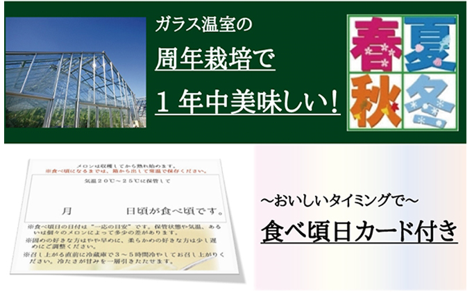 クラウンメロン　極み×1玉　ギフト箱【6ヶ月定期便】【配送不可：離島】