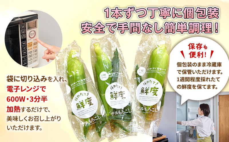 とうもろこし 先行予約 甘々娘 または 甘太郎 約8～12本 2026年配送 配送不可：離島