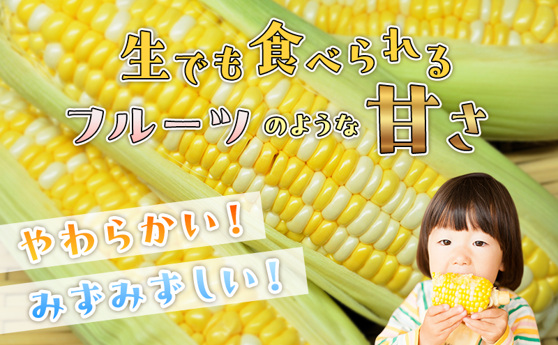 とうもろこし 先行予約 甘々娘 または 甘太郎 約8～12本 2026年配送 配送不可：離島
