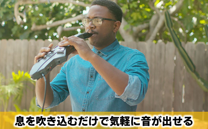 電気 管楽器 ウインドシンセサイザー Aerophone GO Roland 電気管楽器 デジタル管楽器 ウインドシンセ シンセサイザー ヘッドホン 対応 Bluetooth サックス フルート クラリネット 楽器 音楽 ローランド roland 浜松 浜松市 【配送不可：離島】