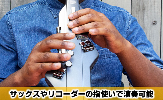 電気 管楽器 ウインドシンセサイザー Aerophone GO Roland 電気管楽器 デジタル管楽器 ウインドシンセ シンセサイザー ヘッドホン 対応 Bluetooth サックス フルート クラリネット 楽器 音楽 ローランド roland 浜松 浜松市 【配送不可：離島】