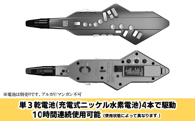 電気 管楽器 ウインドシンセサイザー Aerophone GO Roland 電気管楽器 デジタル管楽器 ウインドシンセ シンセサイザー ヘッドホン 対応 Bluetooth サックス フルート クラリネット 楽器 音楽 ローランド roland 浜松 浜松市 【配送不可：離島】