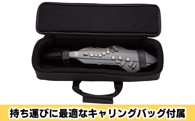 電気 管楽器 ウインドシンセサイザー Aerophone GO Roland 電気管楽器 デジタル管楽器 ウインドシンセ シンセサイザー ヘッドホン 対応 Bluetooth サックス フルート クラリネット 楽器 音楽 ローランド roland 浜松 浜松市 【配送不可：離島】