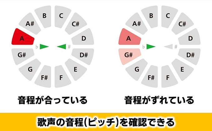 【Roland】ボーカルトレーナー/VT-12-BK【配送不可：離島】 雑貨 日用品 オーディオ機器 