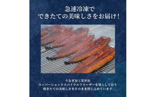 【6カ月定期便】うなぎ 蒲焼 国産 鰻 たっぷり 5尾 約500g 肝 佃煮 ギフトボックス セット 老舗 専門店 うなぎ処京丸