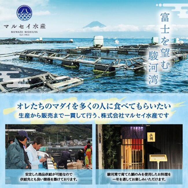 鯛 ごまだれ 茶漬け 1人前 8袋 セット 小分け 冷凍 真鯛 お手軽 漬け丼 沼津 養殖