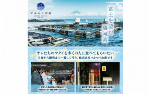 真鯛 煮付け 切り身 8袋 マダイ 鯛 国産 沼津産 湯煎 簡単調理 お手軽 個包装 冷凍