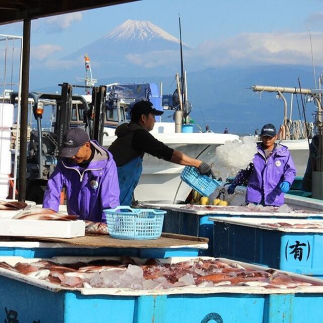 鯛 ごまだれ 茶漬け 1人前 8袋 セット 小分け 冷凍 真鯛 お手軽 漬け丼 沼津 養殖