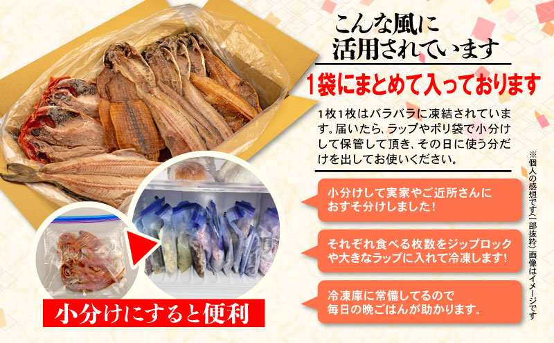 【2024年8月発送】訳あり 干物 2.2kg 詰め合わせ セット 沼津 からお届け ホッケ 金目鯛 アジ サバ カレイ 赤魚 醤油干し フィレ 冷凍 ひもの 規格外 不揃い