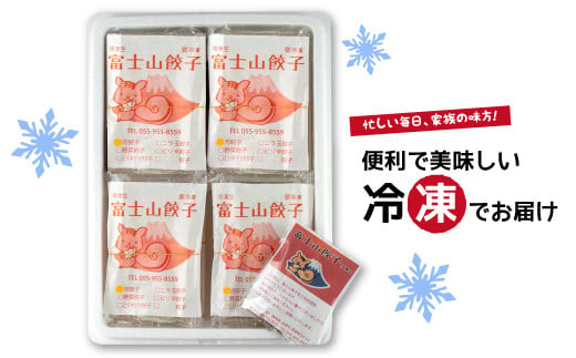 【定期便 6ヶ月 】餃子 半年コース 肉 野菜 ニラ玉 あしたか 牛 とりキクラゲ しいたけ にんにく 冷凍 簡単調理 フライパン 6回