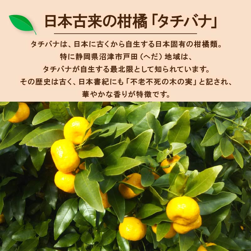 クラフトコーラ ナイト 250ml 1瓶 ノンカフェイン 戸田 たちばな コーラ 柑橘 アレンジ 贈答 ギフト プレゼント 瓶 戸田たちばなコーラ 静岡県 静岡 沼津 沼津市