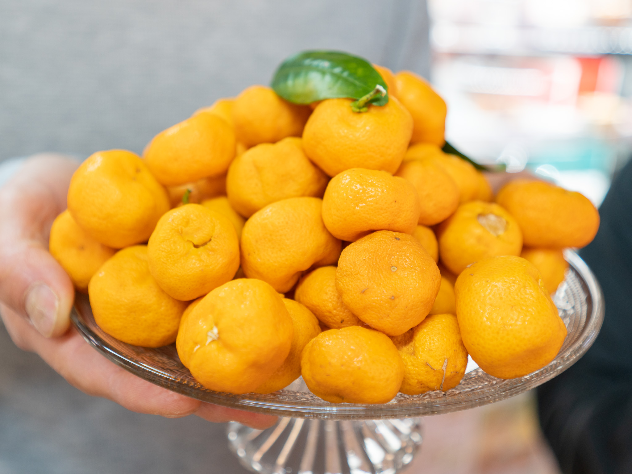 クラフトコーラ ナイト 250ml 1瓶 ノンカフェイン 戸田 たちばな コーラ 柑橘 アレンジ 贈答 ギフト プレゼント 瓶 戸田たちばなコーラ 静岡県 静岡 沼津 沼津市