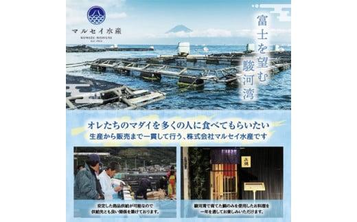 真鯛 タイ お刺身 計 390g 皮引き 柵 フィレ 半身 トロのような脂ノリ 130g 3パック 沼津 養殖 鯛