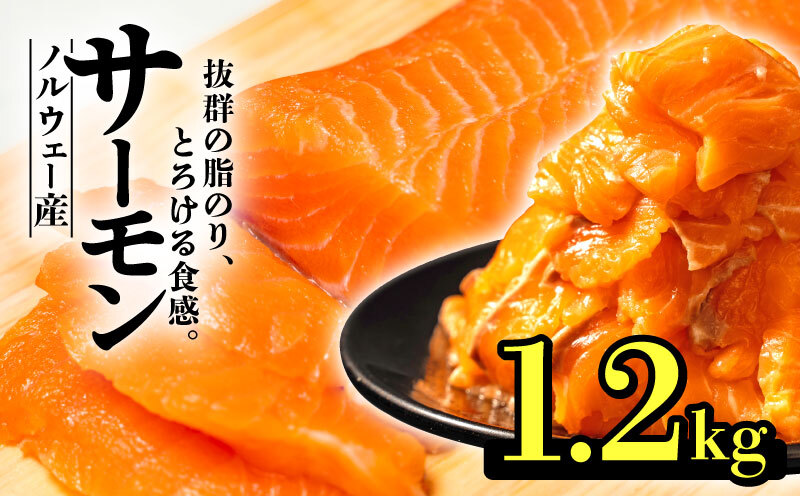 期間 数量 限定 ノルウェー産  サーモン 1.2kg まるが水産