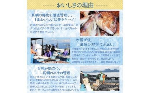 真鯛 タイ お刺身 計 260g 皮引き 柵 フィレ 半身 トロのような脂ノリ 130g 2パック 沼津 養殖 鯛