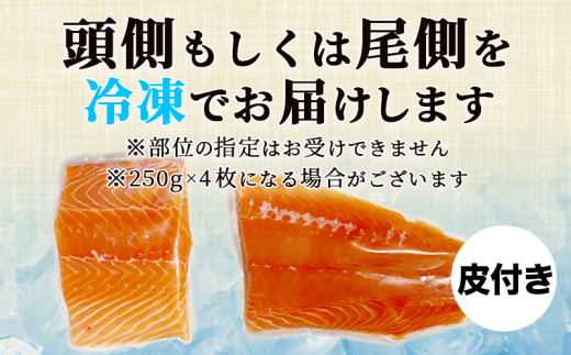 期間 数量 限定 ノルウェー産  サーモン 1.2kg まるが水産