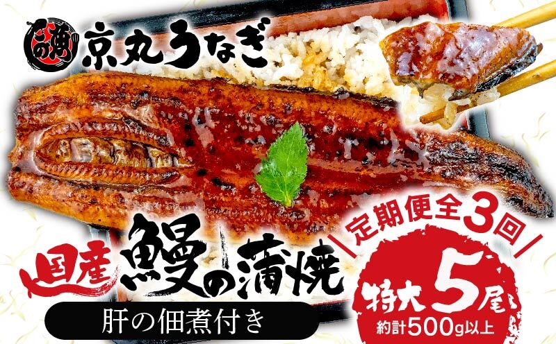 [3カ月定期]うなぎ 蒲焼 国産 鰻 たっぷり 5尾 約500g 肝 佃煮 ギフトボックス セット 老舗 専門店 うなぎ処京丸