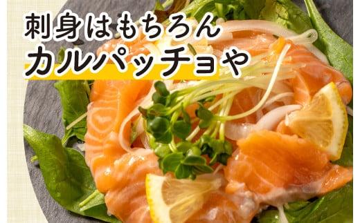 期間 数量 限定 ノルウェー産  サーモン 1.2kg まるが水産