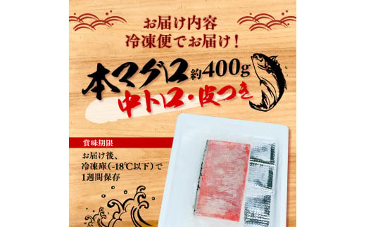 本マグロ 中とろ 800g マグロ トロ 鮪 海鮮 晩酌 冷凍 刺し身 まぐろ さしみ 柵 皮付き 海鮮丼 人気 小分け 中トロ 刺身 お刺身 国産マグロ 漬け ネギトロ 産地直送 赤身 冷凍 静岡 沼津 おいしい コスパ ランキング 人気