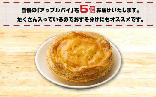  訳あり 国産りんごのアップルパイ 5個セット 工場直売アウトレット品