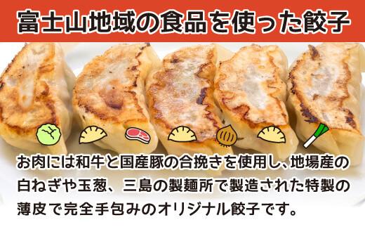 ボリューム満点 富士山餃子 野菜 5個入り8パックセット 肉 大容量 野菜 冷凍