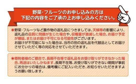 海塩を与えて栽培した由良みかん 予約受付 10月中旬 順次発送 訳あり みかん 由良 計 3kg 傷み補償分 200g 含む 蜜柑 柑橘 オレンジ 果物 フルーツ 沼津市 静岡県