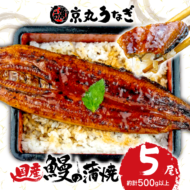 うなぎ 蒲焼 国産 鰻 5尾 約500g 肝 佃煮 ギフトボックス セット 老舗 専門店 うなぎ処京丸 静岡県 土用 丑の日 人気 高級